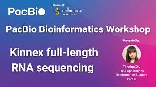 PacBio Bioinformatics Workshop | Kinnex full-length RNA sequencing