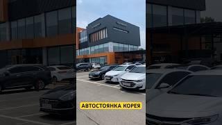 АВТОСТОЯНКА КОРЕЯ! ПОКУПКА АВТОМОБИЛЯ ИЗ КОРЕИ ПОД ЗАКАЗ! #автостоянка #автомобиль #корея #shorts