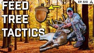 FEED TREE TACTICS for MATURE BUCKS with Rick Cope - EP 510