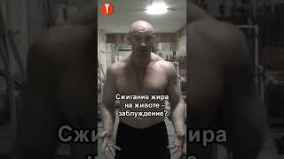 БОДИБИЛДИНГ. Сжигание жира на животе – ЗАБЛУЖДЕНИЕ? #shorts #культуризм #бодибилдинг #натуральный