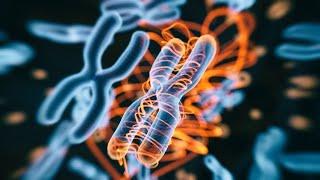 Decoding Life - The DNA Revolution in Genomics (6 Minutes)