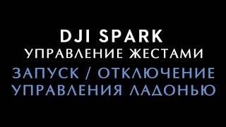 DJI Spark - запуск и отключение Управления Ладонью