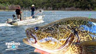 Eildon Murray Cod Fish Tagging