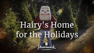 Home for the Holidays: A Hairy Dawg Feature