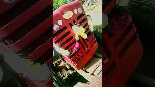 shake it to the max mahindra shorts #dance #music #remix zoom
