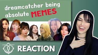 DREAMCATCHER FUNNY MOMENTS REACTION!