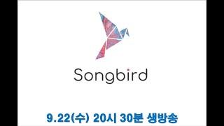 Songbird(송버드) STSO 업체에 실제로 위임해 보기 및 SongBird 투자 전략!