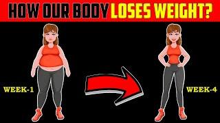 How Our Body Loses Weight? Stages of Weight Loss | Health Talks