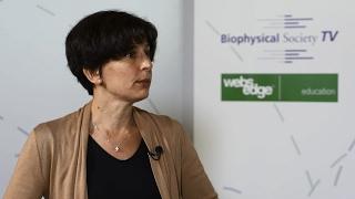 Cancer Cell Biophysics Symposium interview with Alissa Weaver