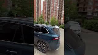 Парковка в Губернском вечером, хватают ли места???