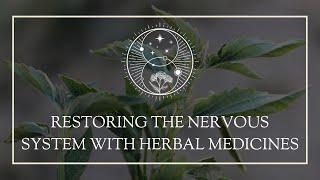 Restoring the Nervous System with Herbal Medicines