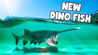 Prehistoric Fish Arrives At Aqualand