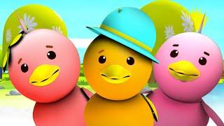 Ducks Song + More Nursery Rhymes And songs For Babies