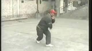 Ji Quncai - Che style xingyiquan - Combined Xingyi routine