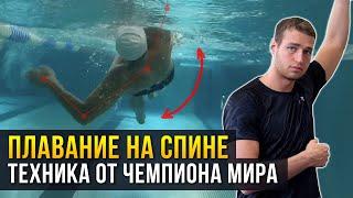 Как плавать на спине?  5 правил от ЧЕМПИОНА МИРА! Техника плавания на спине + ЧЕК ЛИСТ