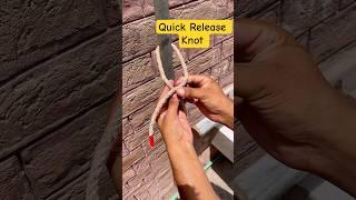 How to tie quick easy and reliable knot #shorts #youtubeshorts #knot