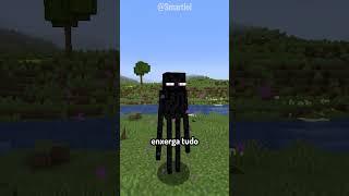 Como a Aranha Enxerga! #shorts #minecraft