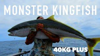 40kg PLUS KINGFISH