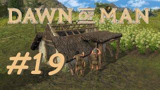 Dawn of Man #19: Das Lager umlagern