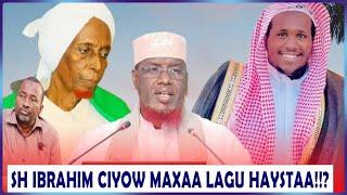 Sh Maxamed Umal || Sh Ibrahim ciyow maxaa lagu haystaa!?