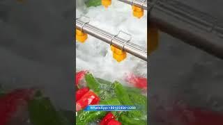 Powerful Chili Pepper Washing Machine Vegetable Washing Machine