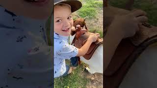 Riding Goats in Mini Saddles: Pure Joy #ShowYourJOWO #FORDfortheBuilders