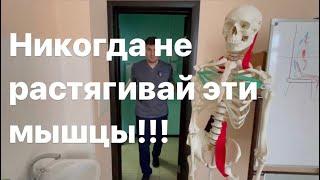 Эти мышцы запрещено растягивать каждому! Никогда не растягивай эти мышцы!