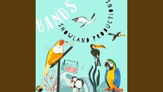 Bands (Instrumental)