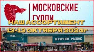 НАШ АССОРТИМЕНТ НА ПТИЧЬЕМ РЫНКЕ В МОСКВЕ 12-13 октября 2024 г.