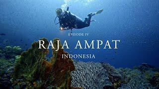 Blue Habits | Episode 4: Raja Ampat | Oceanic Society (4K) #coralreef #climatechange