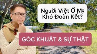 Vì Sao Người Việt Ở Mỹ Khó Đoàn Kết? Góc Khuất và Sự Thật