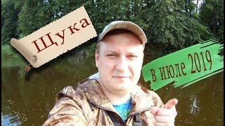 Щука на спиннинг в конце июля 2019 года! Новинка от BEARKING 2019!!!