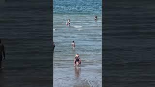 Serene Strolls at Low Tide #shorts #beach2beach4u #beach