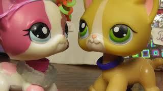 LPS  посылка от канала LPS TV Cat