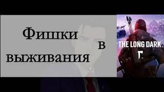 Фишки выживания в The Long Dark - 2 (Бури/сохранения/чай)