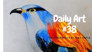Daily Art #38 | Colour Pencils | Bird Drawing | Ajay Gupta