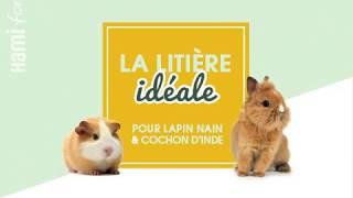 Comment préparer la litière de votre lapin ou cochon d'inde ? #TutoExpert