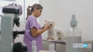 Keeping Pets Healthy with Daily Paws