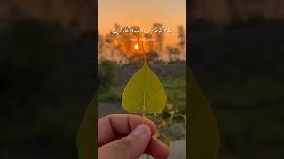 Kam Bola Krein  #shorts #youtube #shortsvideo #youtuber #foryou #virelvideo #youtubeshort #islamic