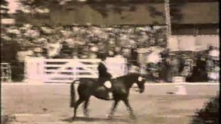 История выездки. The history of dressage