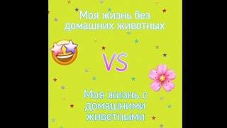 Моя жизнь с домашними животными vs жизнь без домашних животных