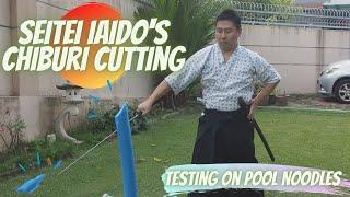 Seitei Iaido's Chiburi Cutting: Namazu's Theory Testing on Pool Noodles: Namazu Cuts