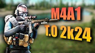 M4A1 T.O 2K24 - ТОП ДЛЯ ЛЕНИВЫХ | ТАРКОВ