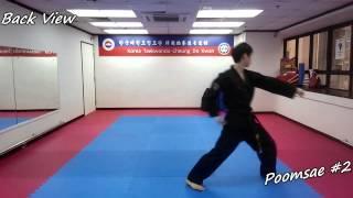 Taekwondo - Poomsae 2 (Yi Jang) Slow-motion, front and back view