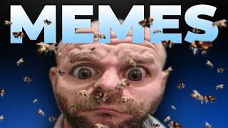 Pestily Eats Bees?? - Memes - Escape From Tarkov