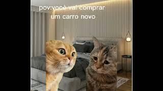 pov:você vai comprar um carro novo#cats#fofuras #povdecatos