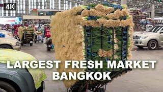 【4K】The Largest Fresh Food Market in Bangkok, Thailand