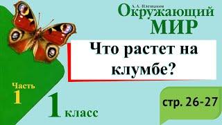 Что растет на клумбе? Окружающий мир. 1 класс, 1 часть. Учебник А. Плешаков стр. 26-27