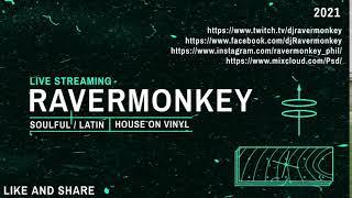 House Music Mix Underground Vinyl House Mix DJ RAVERMONKEY #housemusic  #housemusichd   #vinylonly