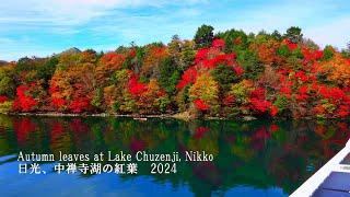 Enjoy the autumn leaves on a cruise on Lake Chuzenji in Nikko.